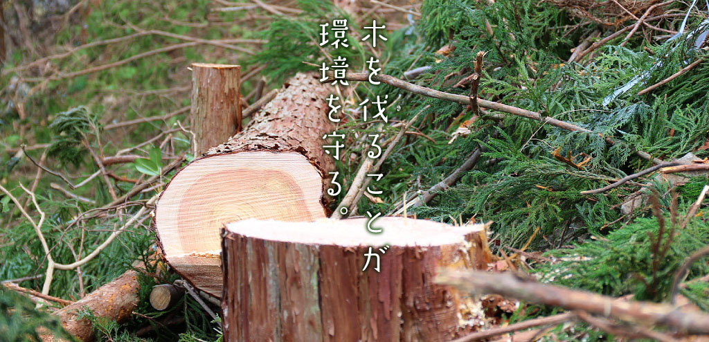 木を伐ることが環境を守る。