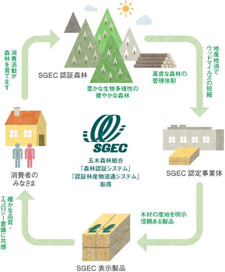 SGEC「森林認証システム」「認証林産物流システム」取得